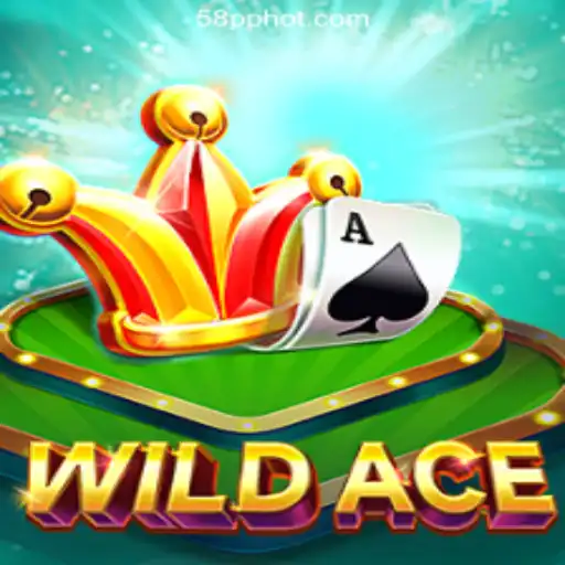 Exploring WildAce: A Captivating Casino Game Experience